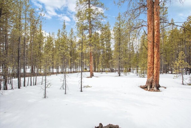 379 Juniper Dr, Twin Lakes, CO 80461
