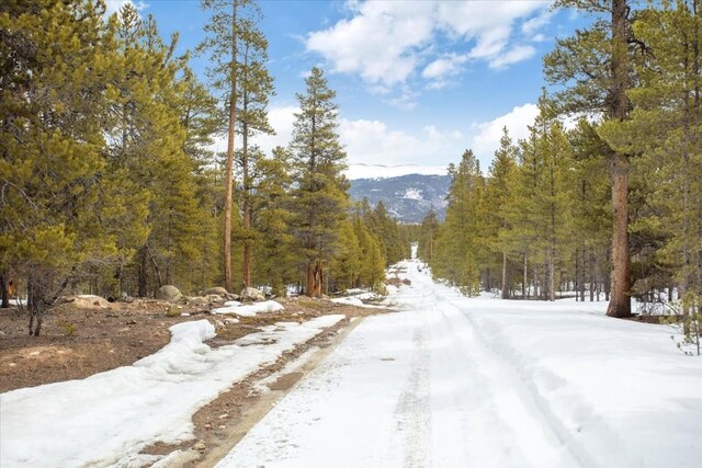 379 Juniper Dr, Twin Lakes, CO 80461