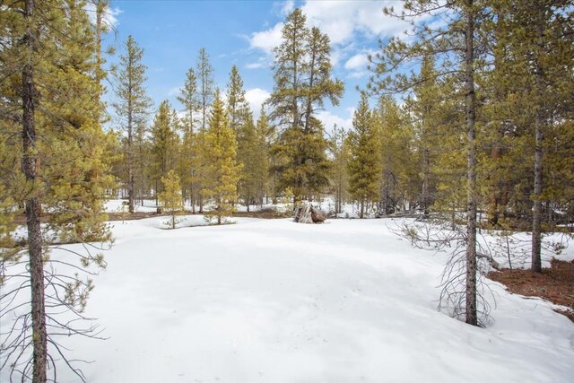 379 Juniper Dr, Twin Lakes, CO 80461