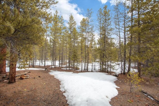 379 Juniper Dr, Twin Lakes, CO 80461