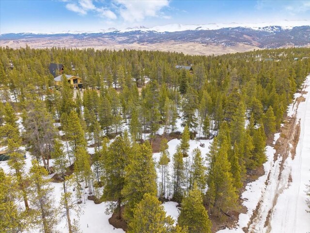379 Juniper Dr, Twin Lakes, CO 80461