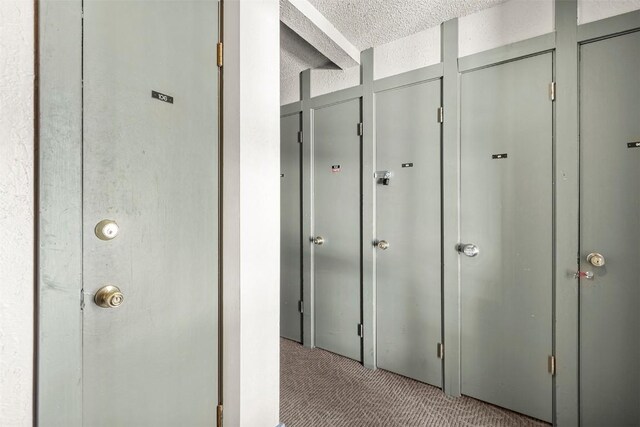 1127 Ski Hill Rd Unit 106, Breckenridge, CO 80424 - corridor featuring carpet and a textured ceiling