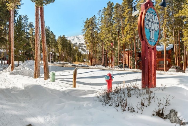 1127 Ski Hill Rd Unit 106, Breckenridge, CO 80424 - snowy yard with a mountain view