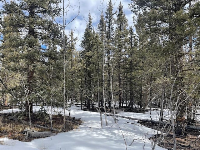 80 Haida Way, Como, CO 80456