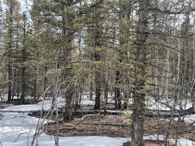 80 Haida Way, Como, CO 80456