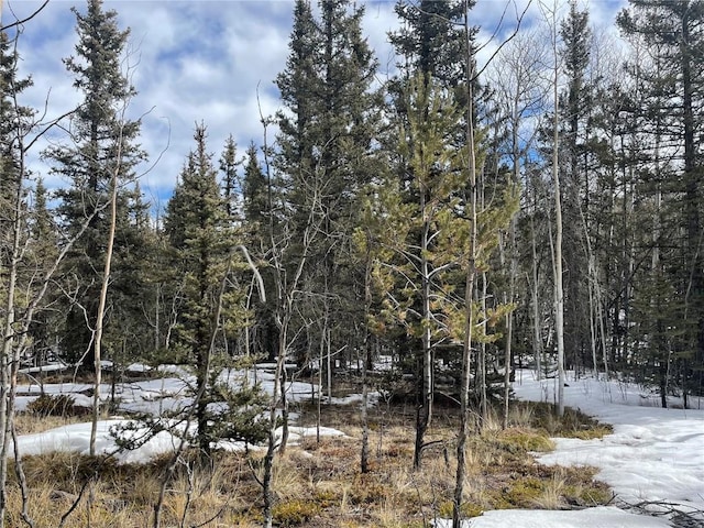 80 Haida Way, Como, CO 80456
