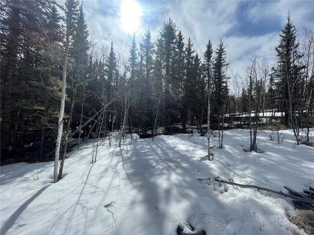 80 Haida Way, Como, CO 80456