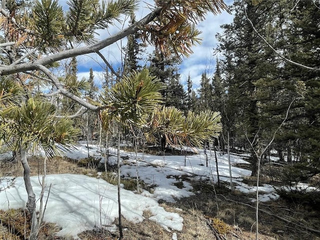 80 Haida Way, Como, CO 80456