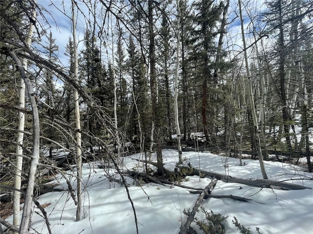 80 Haida Way, Como, CO 80456