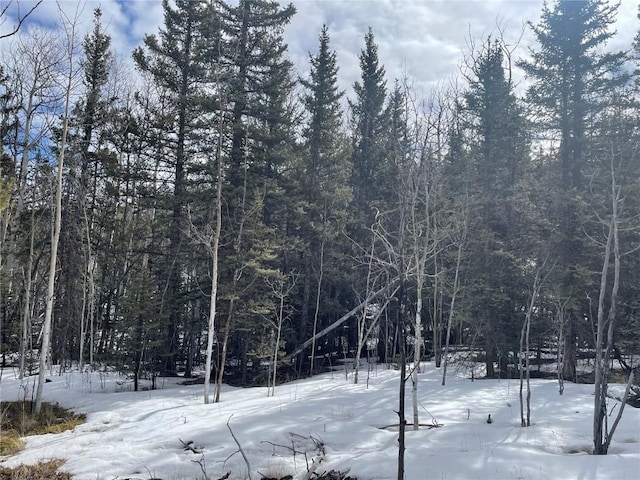 80 Haida Way, Como, CO 80456