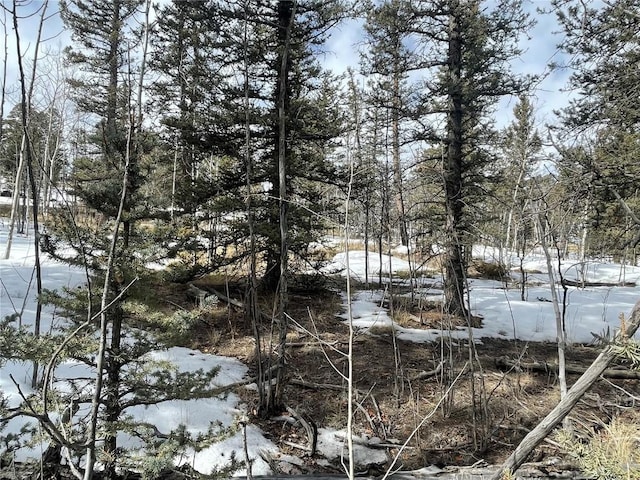 80 Haida Way, Como, CO 80456
