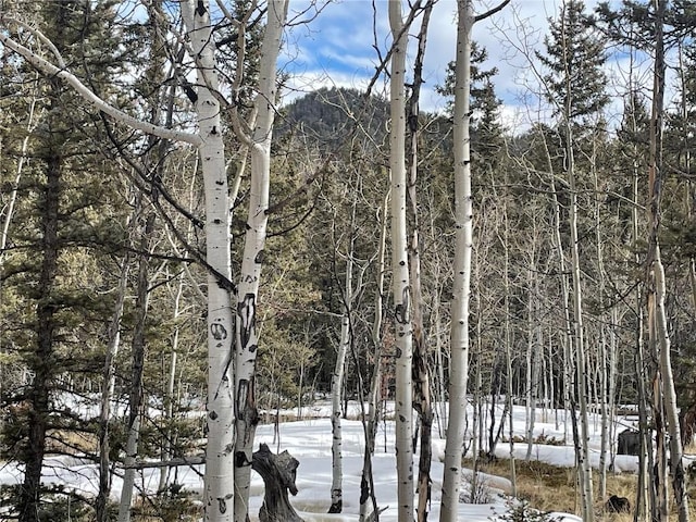 80 Haida Way, Como, CO 80456