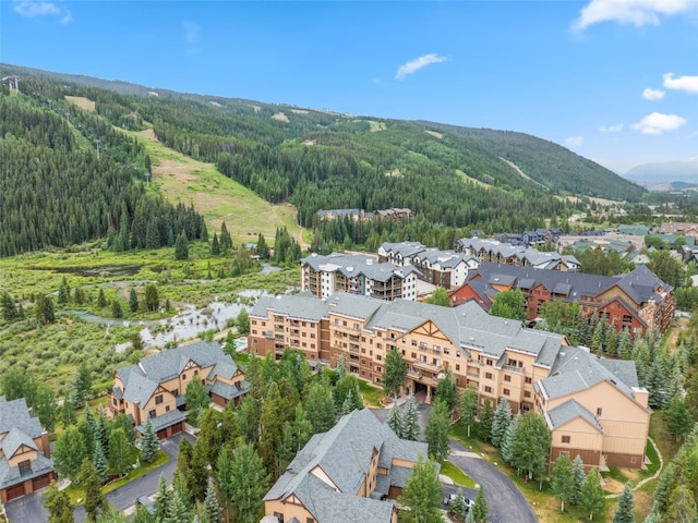 20 Hunki Dori Ct Unit 2241, Keystone, CO 80435 - photo 3