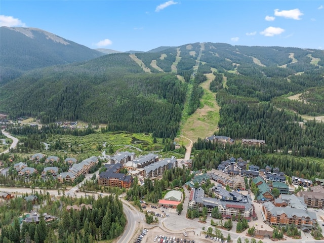 20 Hunki Dori Ct Unit 2241, Keystone, CO 80435 - photo 37
