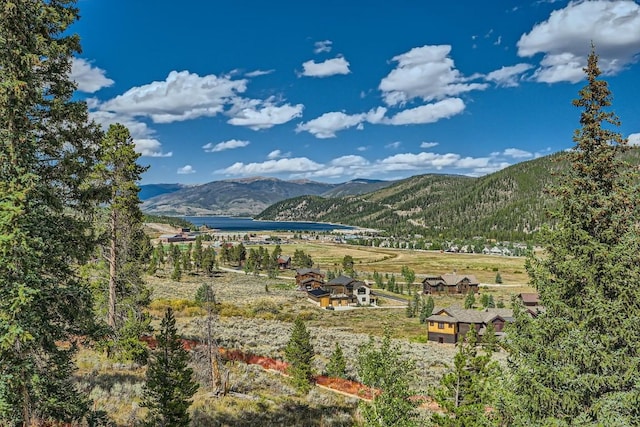 964 Alpensee Dr, Breckenridge, CO 80424 - photo 28
