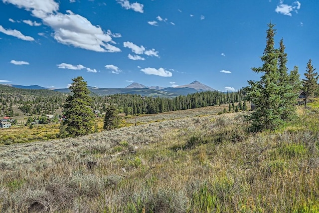 964 Alpensee Dr, Breckenridge, CO 80424 - photo 27