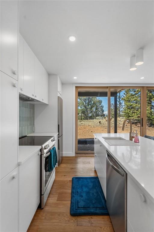 kitchen featuring white cabinets, a wealth of natural light, appliances with stainless steel finishes, and a sink
