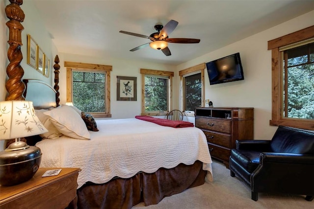 2415 Val Disere Cir, Steamboat Springs, CO 80487 - carpeted bedroom with multiple windows and ceiling fan
