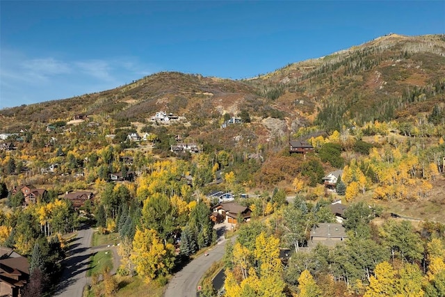 2415 Val Disere Cir, Steamboat Springs, CO 80487 - view of mountain background