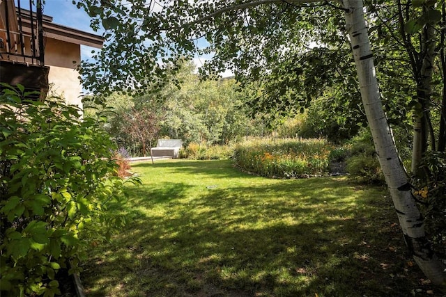 2415 Val Disere Cir, Steamboat Springs, CO 80487 - view of green lawn