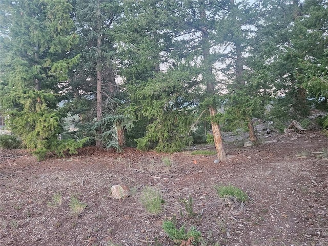 315 High Meadow Dr, Dillon, CO 80435