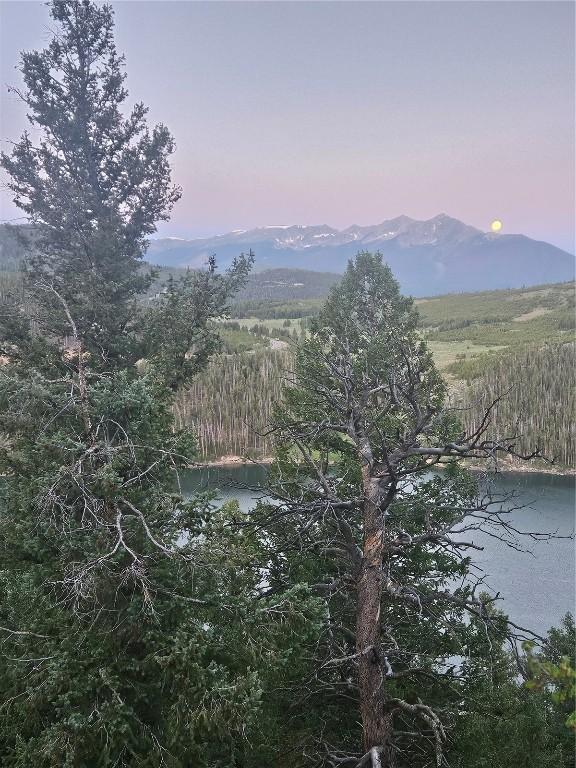 315 High Meadow Dr, Dillon, CO 80435