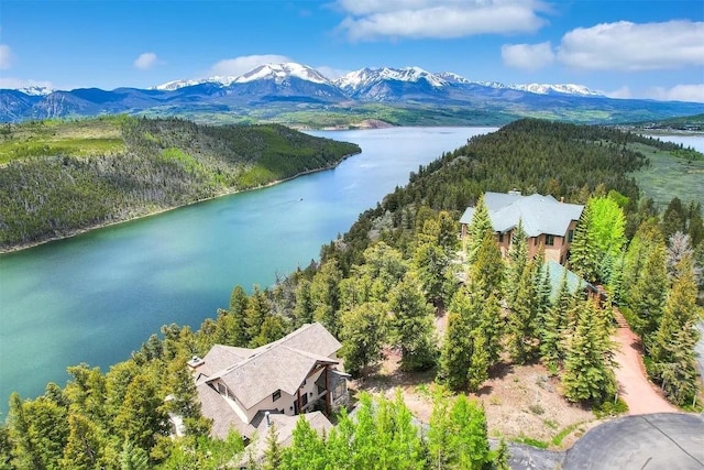315 High Meadow Dr, Dillon, CO 80435