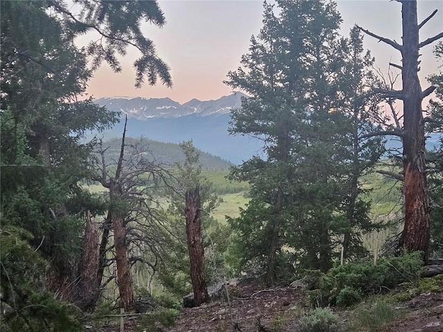 315 High Meadow Dr, Dillon, CO 80435