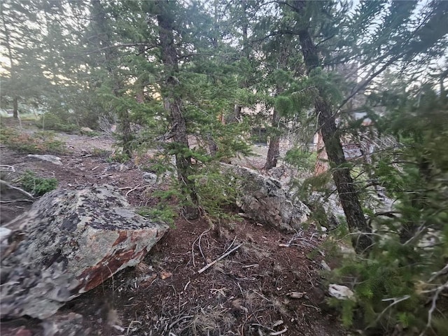 315 High Meadow Dr, Dillon, CO 80435