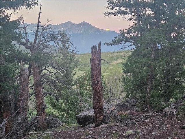 315 High Meadow Dr, Dillon, CO 80435
