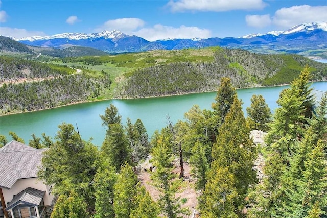 315 High Meadow Dr, Dillon, CO 80435
