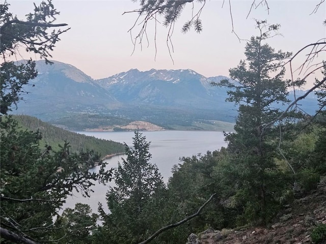 315 High Meadow Dr, Dillon, CO 80435