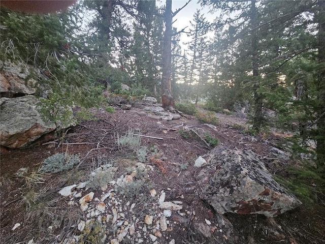 315 High Meadow Dr, Dillon, CO 80435