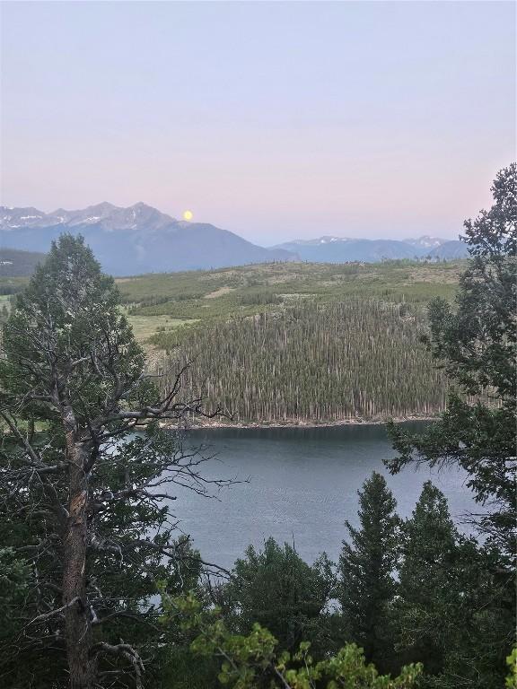 315 High Meadow Dr, Dillon, CO 80435