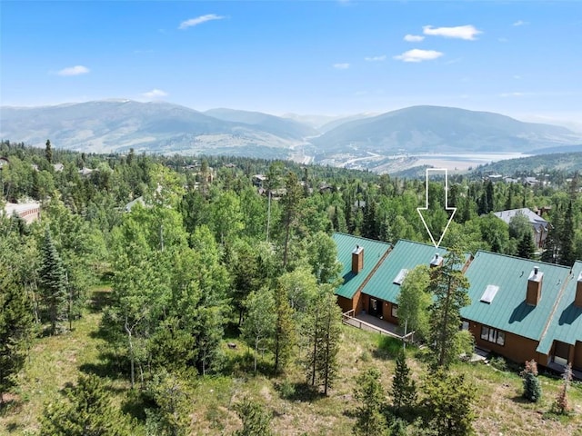 132 Burgundy Cir, Silverthorne, CO 80498 - photo 39