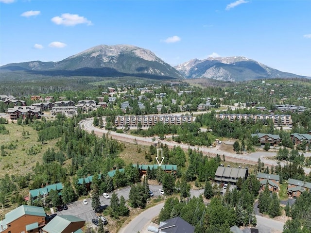 132 Burgundy Cir, Silverthorne, CO 80498 - photo 38