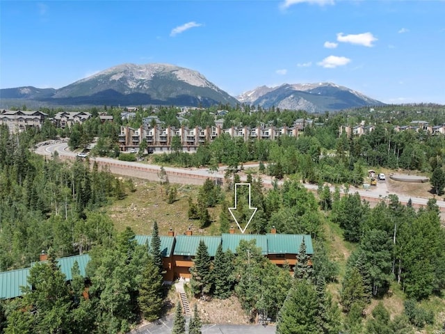 132 Burgundy Cir, Silverthorne, CO 80498 - photo 37