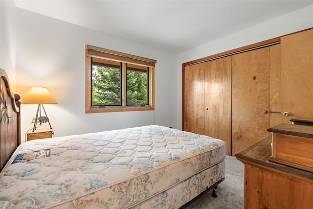 132 Burgundy Cir, Silverthorne, CO 80498 - photo 29