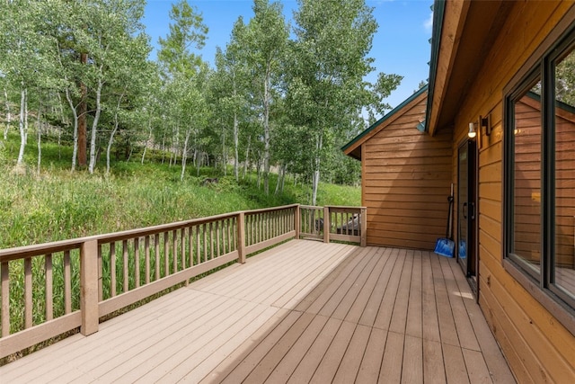 132 Burgundy Cir, Silverthorne, CO 80498 - photo 12