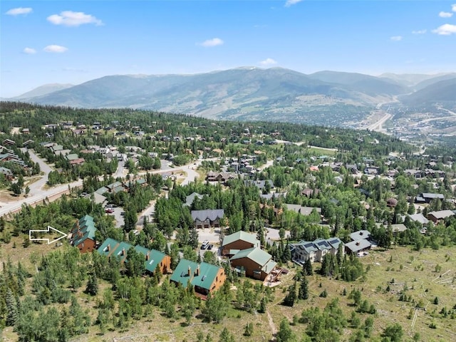 132 Burgundy Cir, Silverthorne, CO 80498 - photo 41