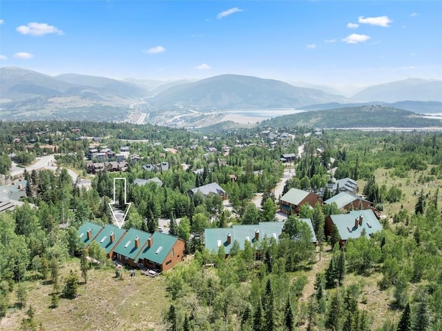 132 Burgundy Cir, Silverthorne, CO 80498 - photo 4