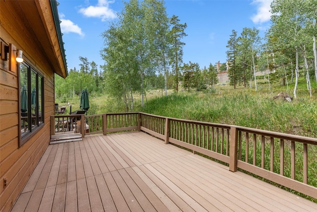 132 Burgundy Cir, Silverthorne, CO 80498 - photo 11