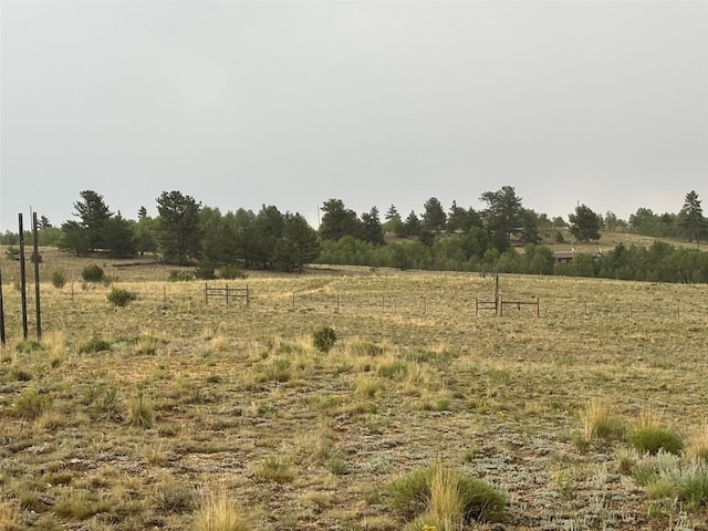 1310 Mcdowell Dr, Como, CO 80432