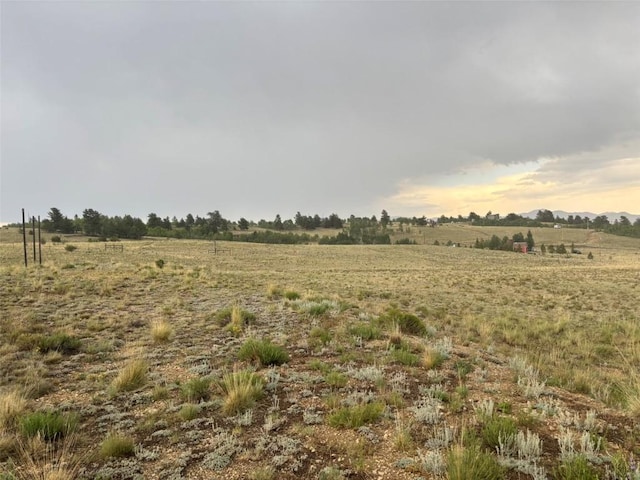 1310 Mcdowell Dr, Como, CO 80432