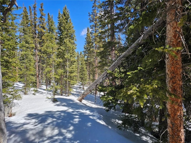 135 Valley Of The Sun Dr, Fairplay, CO 80440 - photo 2