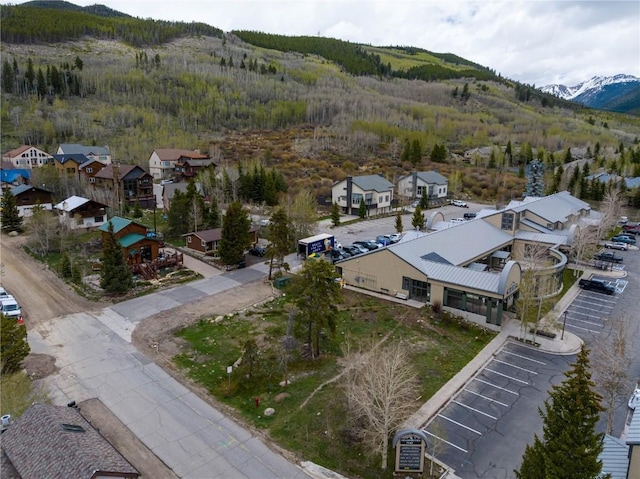 57 Rasor Dr, Keystone, CO 80435 - photo 6