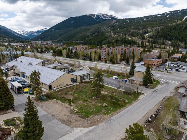 57 Rasor Dr, Keystone, CO 80435 - photo 7