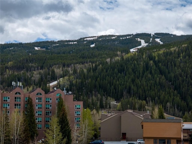 57 Rasor Dr, Keystone, CO 80435 - photo 20