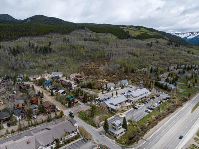57 Rasor Dr, Keystone, CO 80435 - photo 14