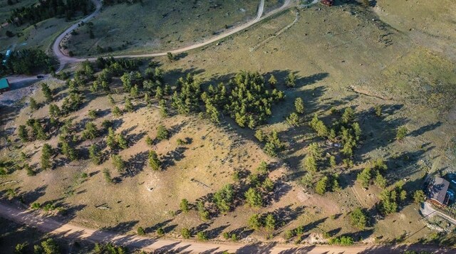 1300 Bridle Path, Hartsel, CO 80449